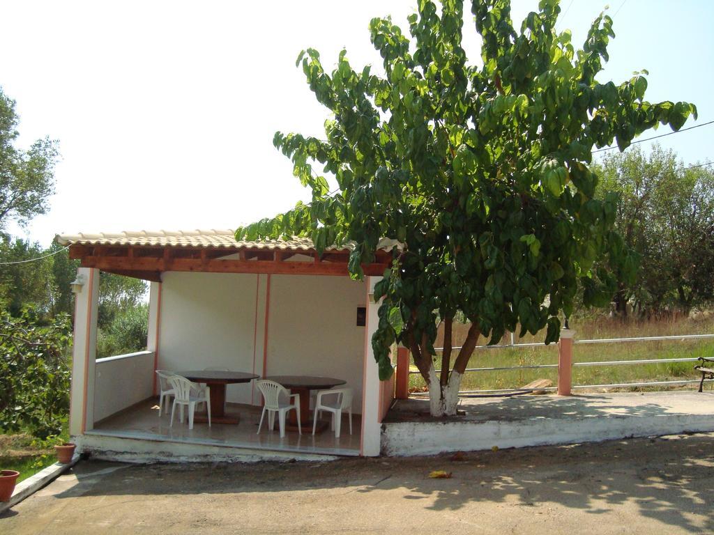 Pink House Socrates Vitaládes